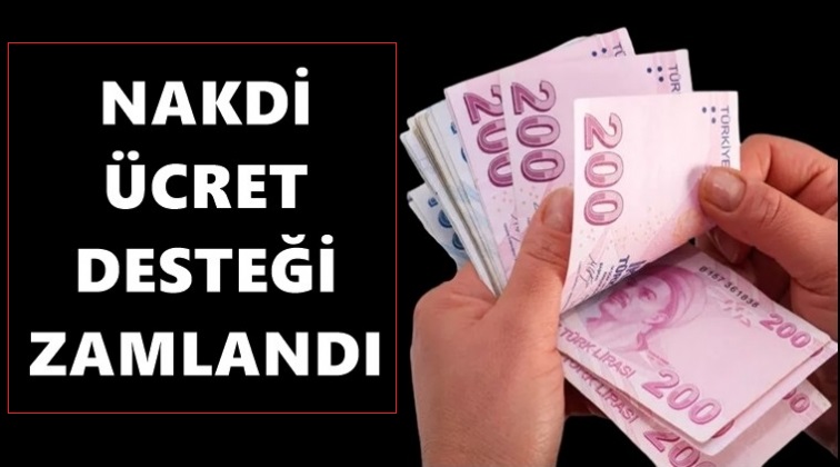 NÜD ödemesi %21,56 artırılarak 47,70 TL'ye yükseltildi